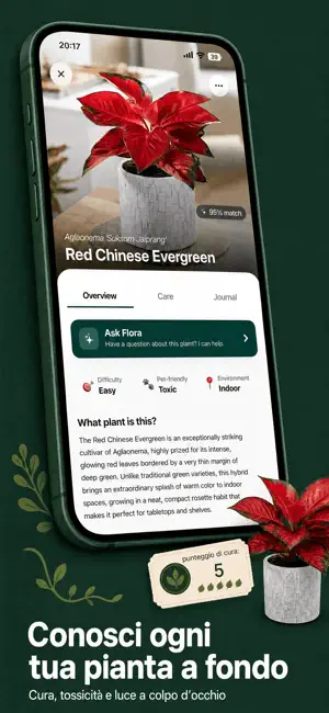 Arbori – Identifica le piante iPhone screenshot 4