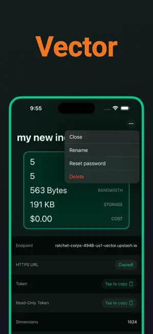Upstash Redis & QStash — Stash iPhone screenshot 4