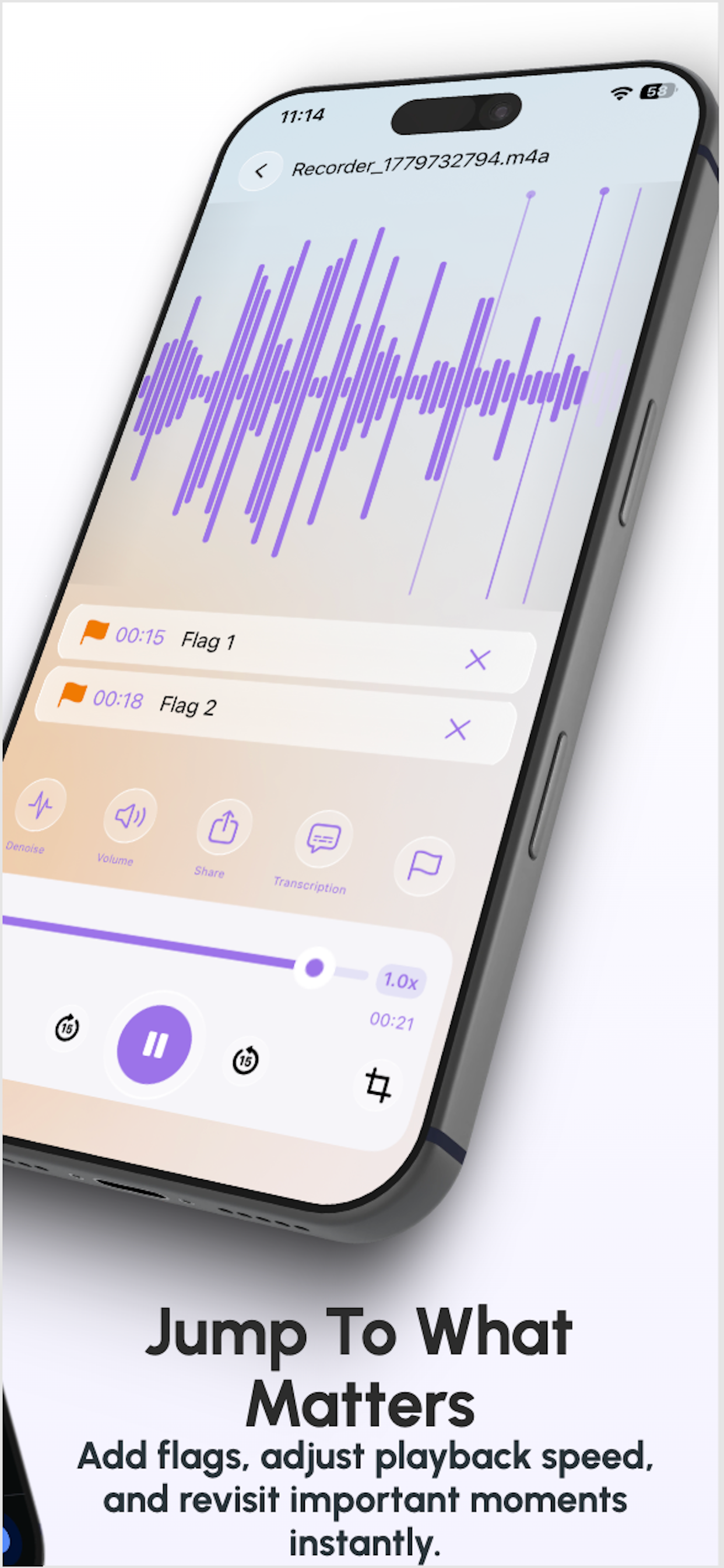 Smart Voice Recorder AI screenshot 6