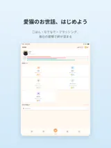 ねこのまいにち 3