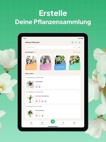 Pflanzen Bestimmen: LeafSnap iPad screenshot 2