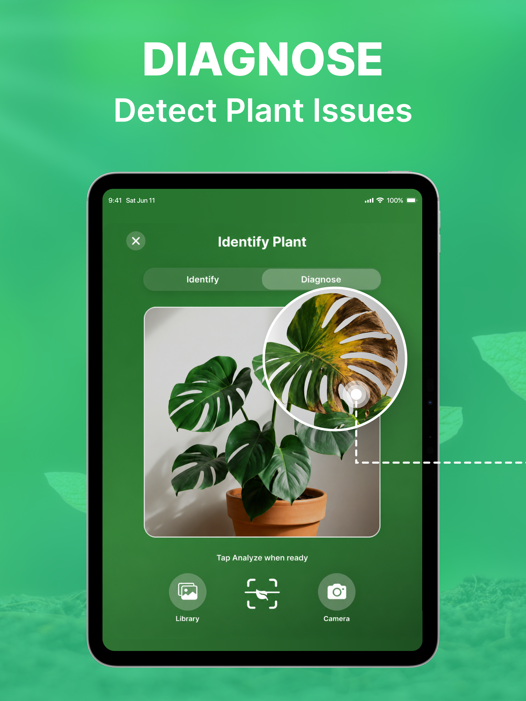 Leafa: AI Plant Identifier