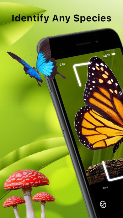 Identify Insects Plants Birds Screenshot