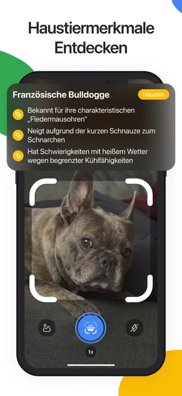 Lens Scan: Identify Anything screenshot 5 of 6