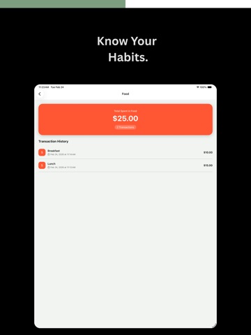 Type Spend: Expense Tracker iPad screenshot