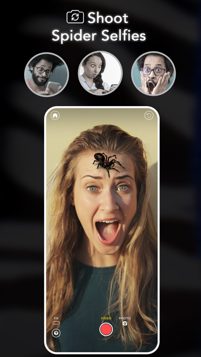 AR Spiders & Co: Scare friends Screenshot