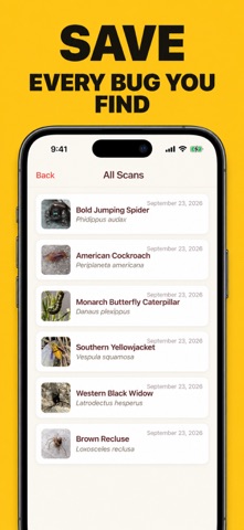 Bug & Spider Identifier AI Screenshot 5 of 5