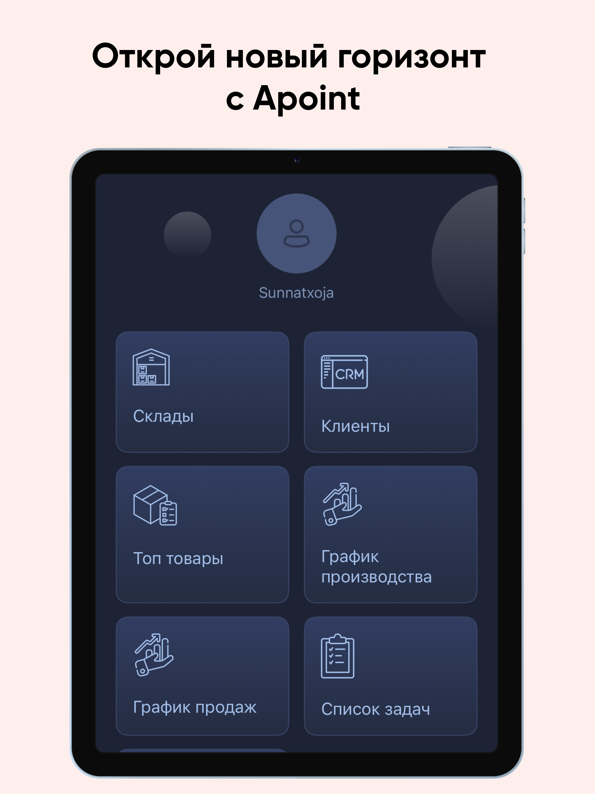 Apoint Boss screenshot 7
