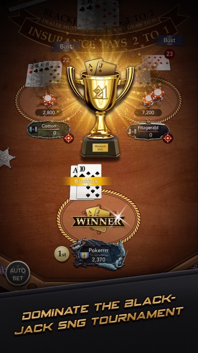 Casino Blackjack: Opt. Storm Screenshot