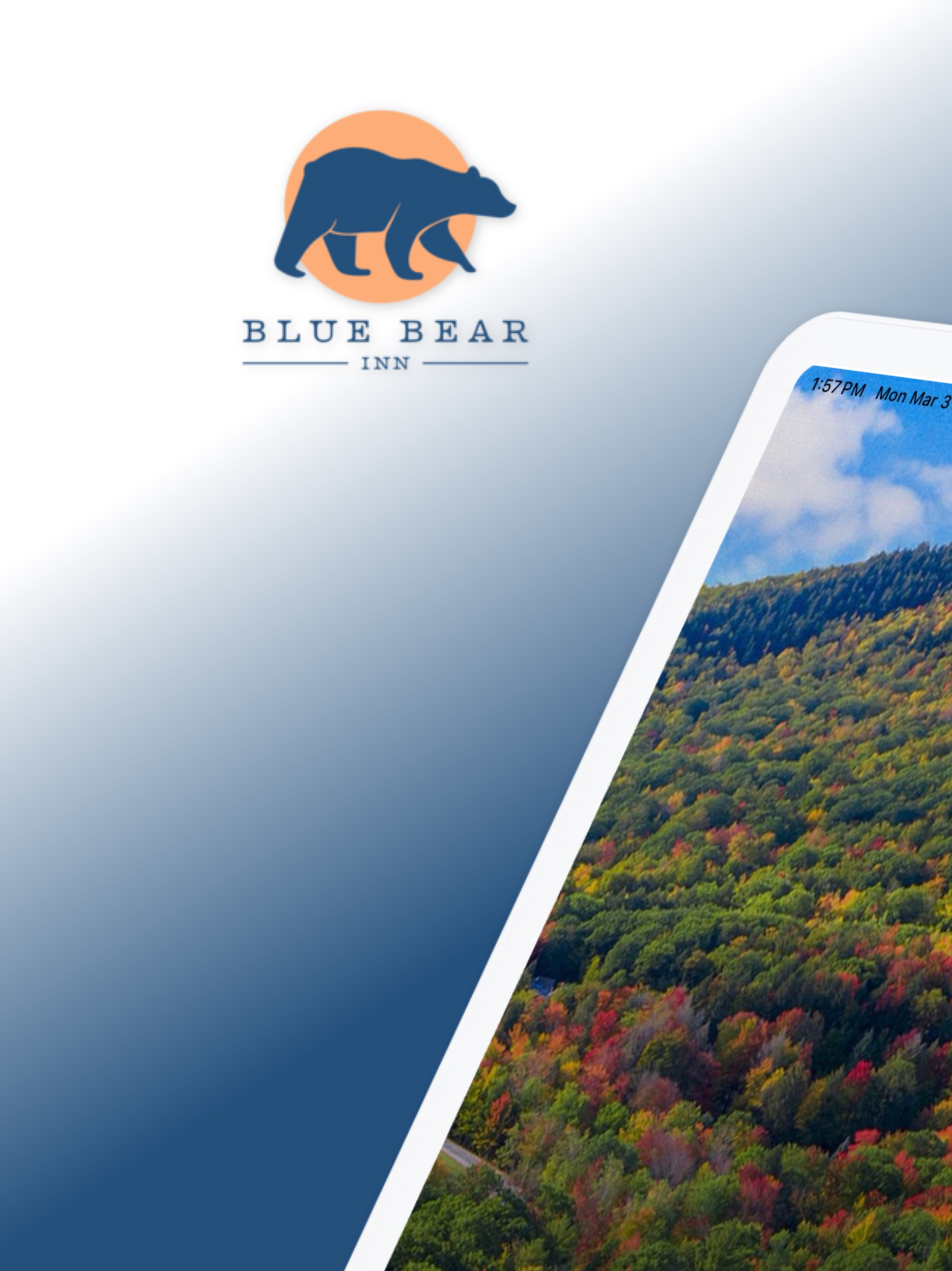 Blue Bear Inn screenshot 5