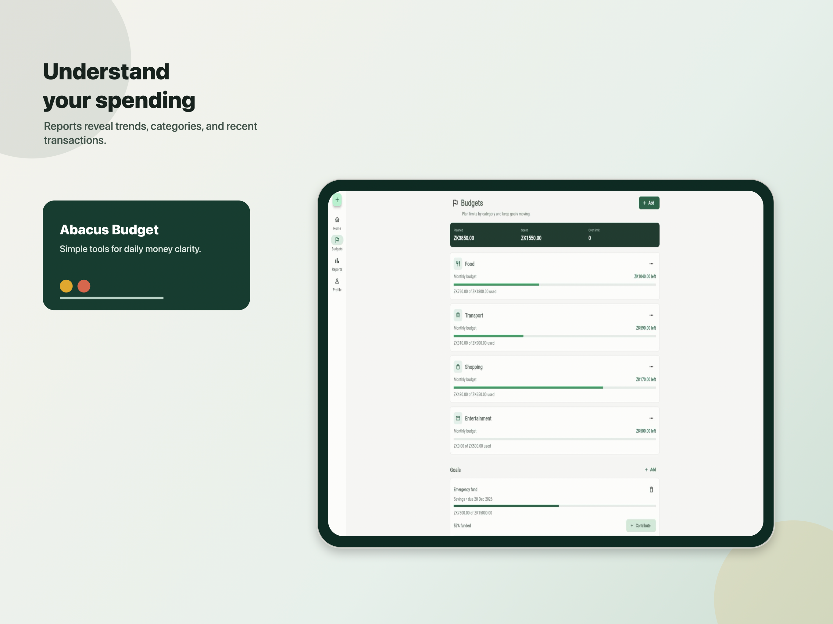 Abacus Budget screenshot 7