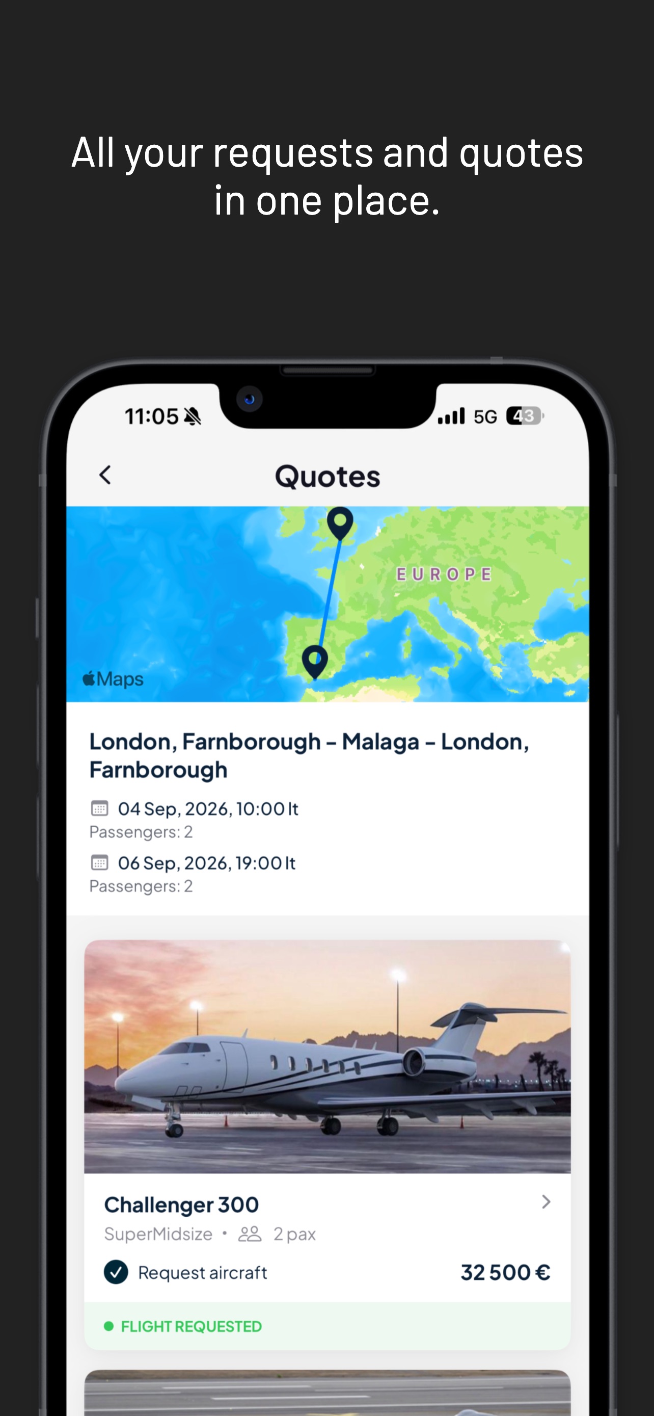 Screenshot 4 of Swift Wings Aviation