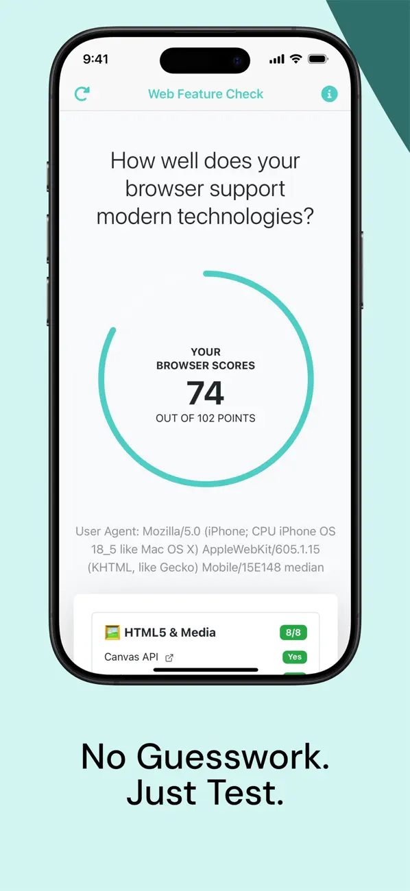 #1. Web Feature Check (iOS) 作者: Transporter Lab GmbH