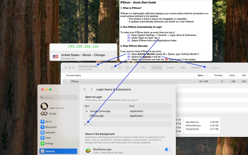 IPShow -VPN IP always in sight iPhone screenshot