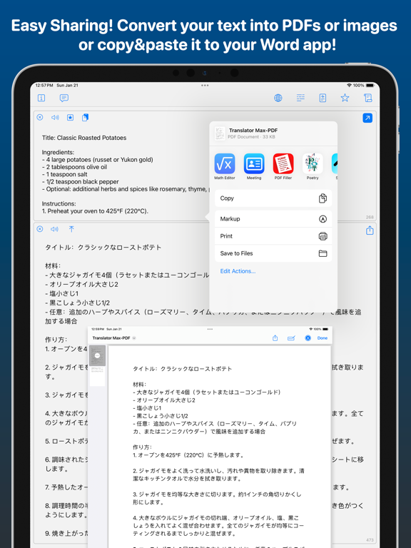 GeminAI - Your AI Assistant iPad screenshot 6 - Business app
