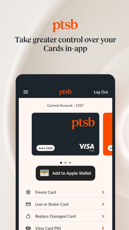 permanent tsb screenshot-3