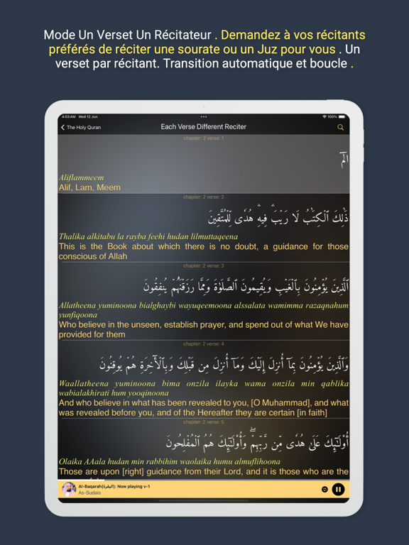 Screenshot #5 pour Holy Quran Multi Reciter