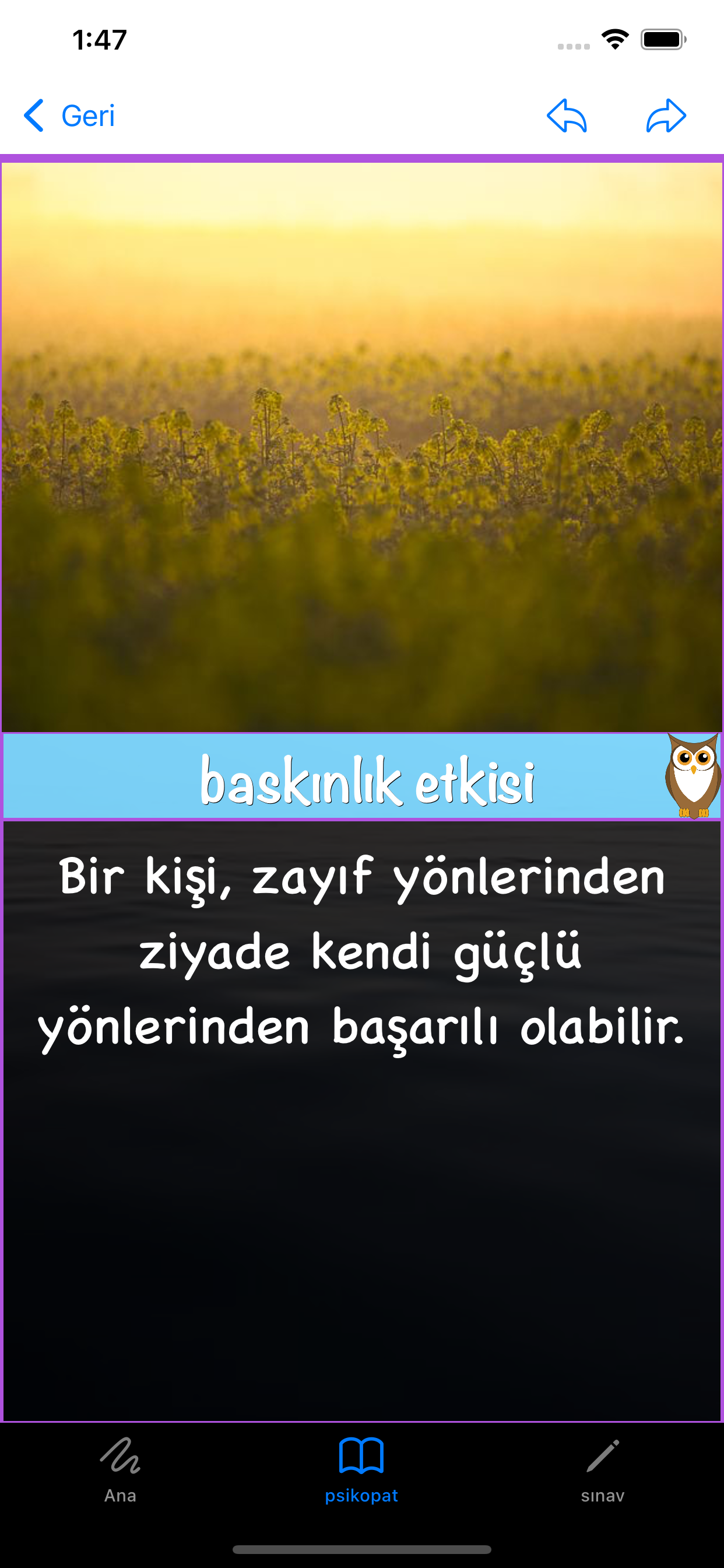 NoAdsCalc