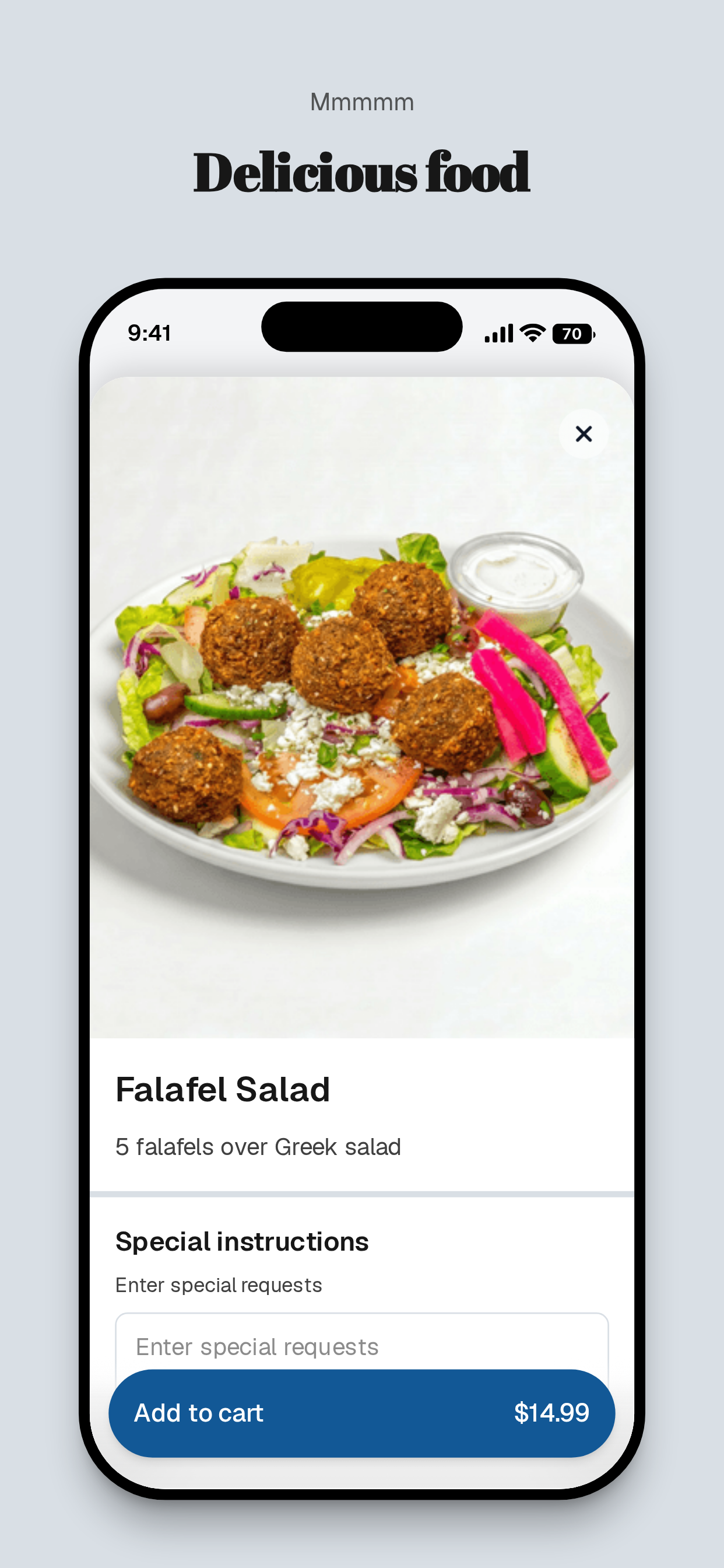 Go Falafel Greek Food screenshot 5