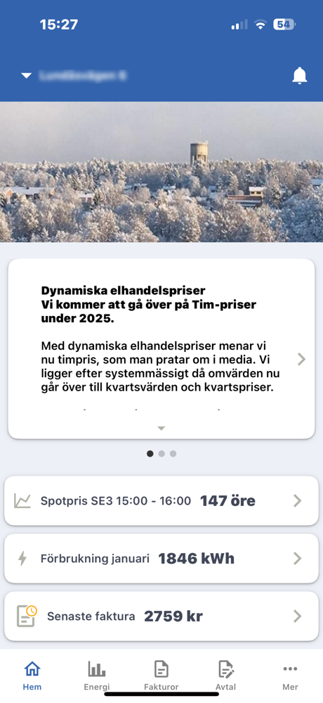 Hallstaviks Elverk screenshot 2
