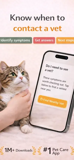 CatCare: Symptom Guide screenshot 4