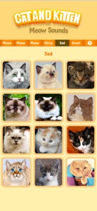 Cat & Kitten Meow Sounds screenshot #5 for iPhone