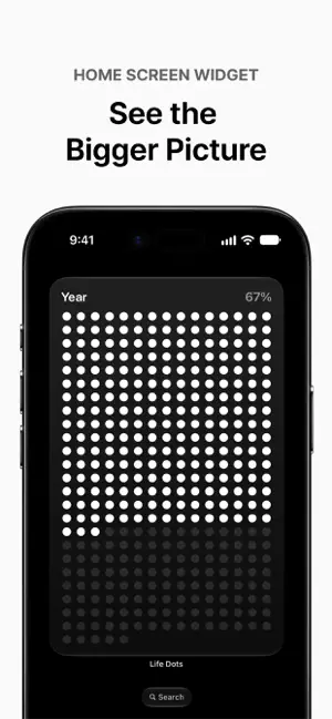 Life Dots: Visualize Time screenshot 4