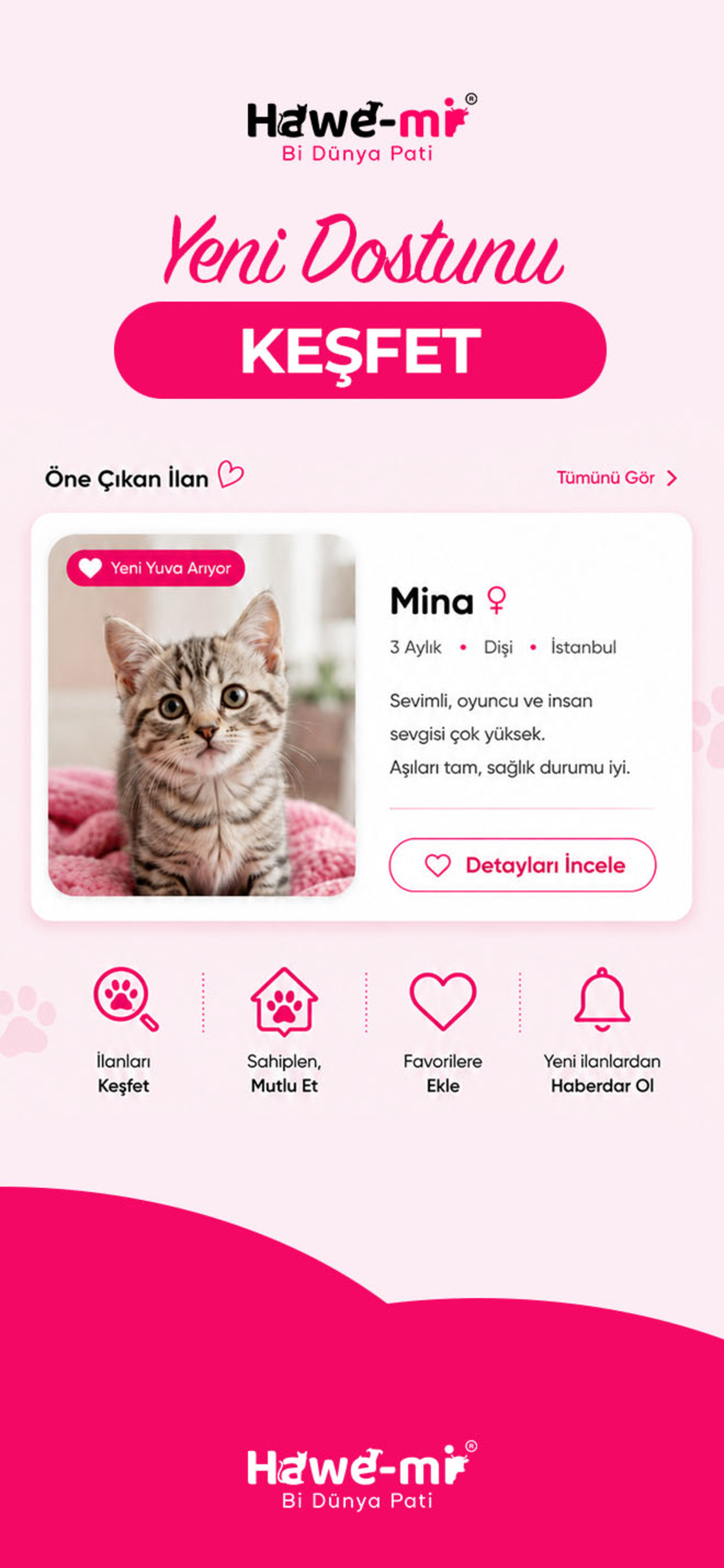 Hawe-mi, Evcil Hayvanlar screenshot 6