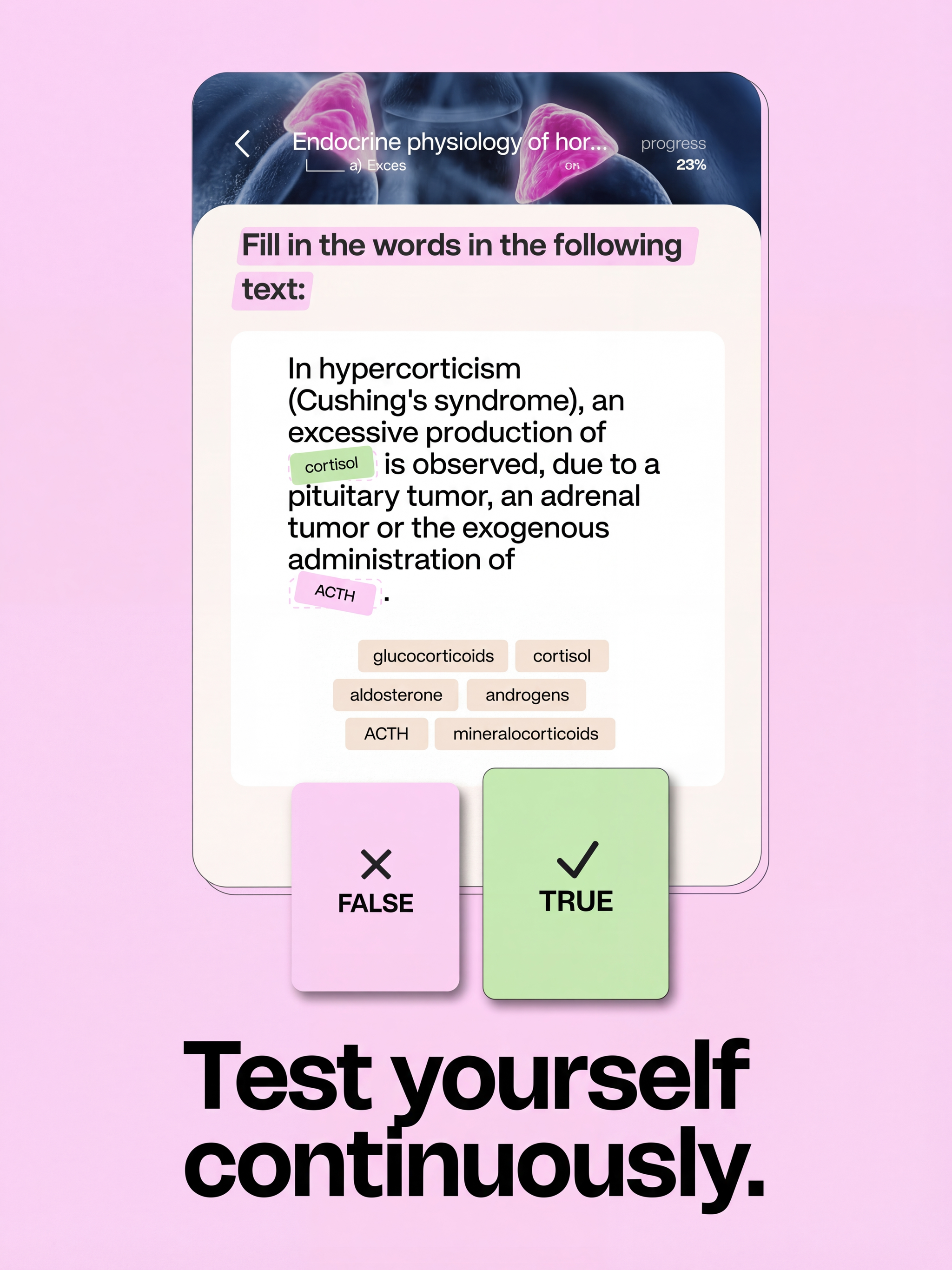 Synapse - Education screenshot 14