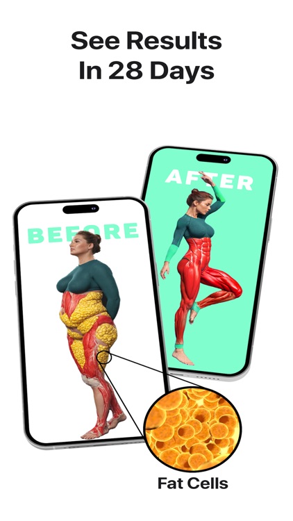 Fitonomy: Home & Gym Trainer