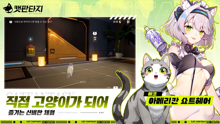 캣 판타지 screenshot-3
