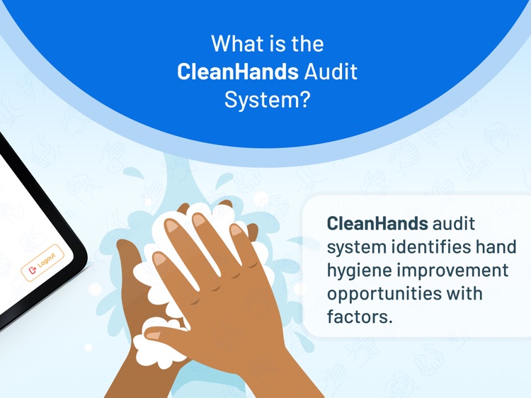 CleanHands Audit