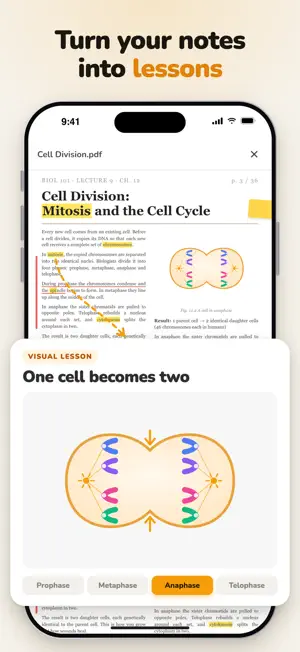 Learnara - Learn Visually screenshot 3