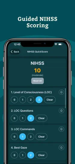 StrokeTimer - NIHSS & DTN iPhone Screenshot 3