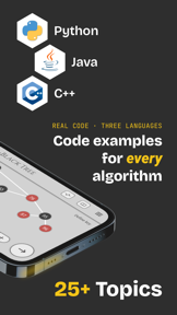 VisiGrab: Algorithms & DSA screenshot
