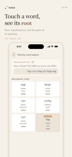Echad - Hebrew Bible & Torah screenshot 3