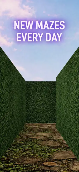 Walk The Maze screenshot 4