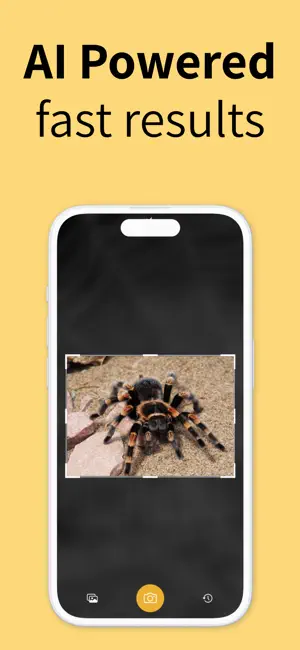 Spider Identifier: AI Scanner screenshot 3
