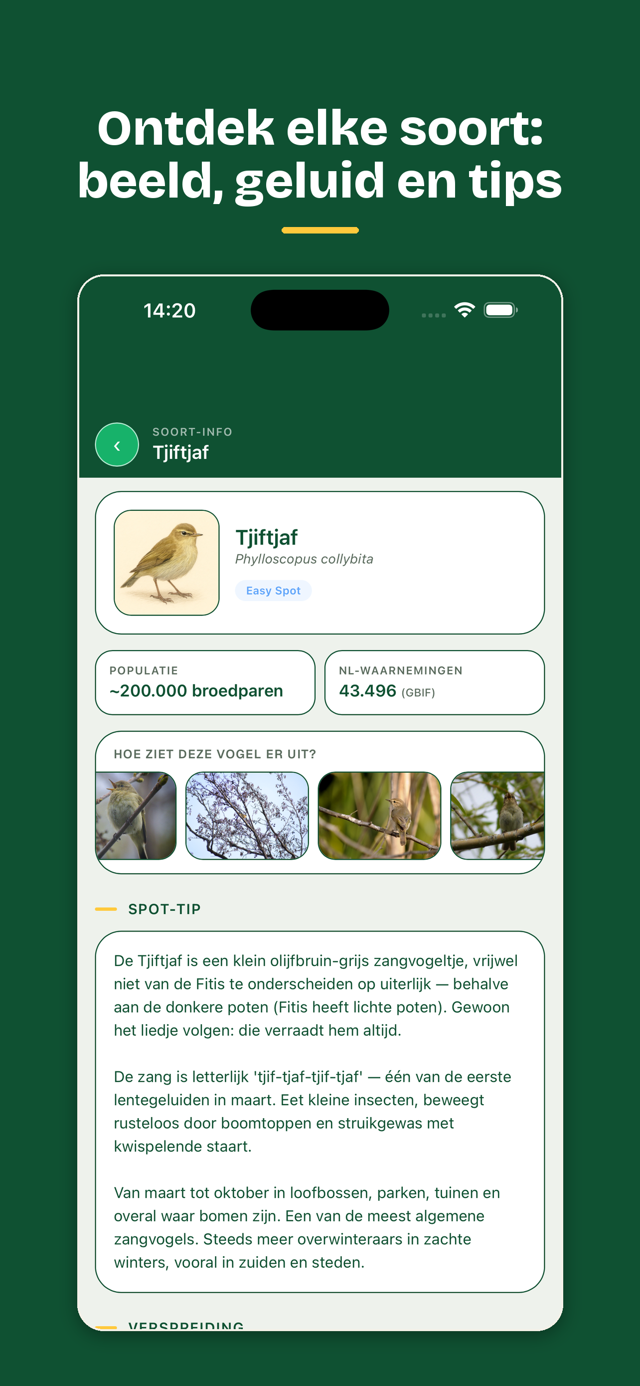Lijster: Vogelapp Nederland screenshot 4