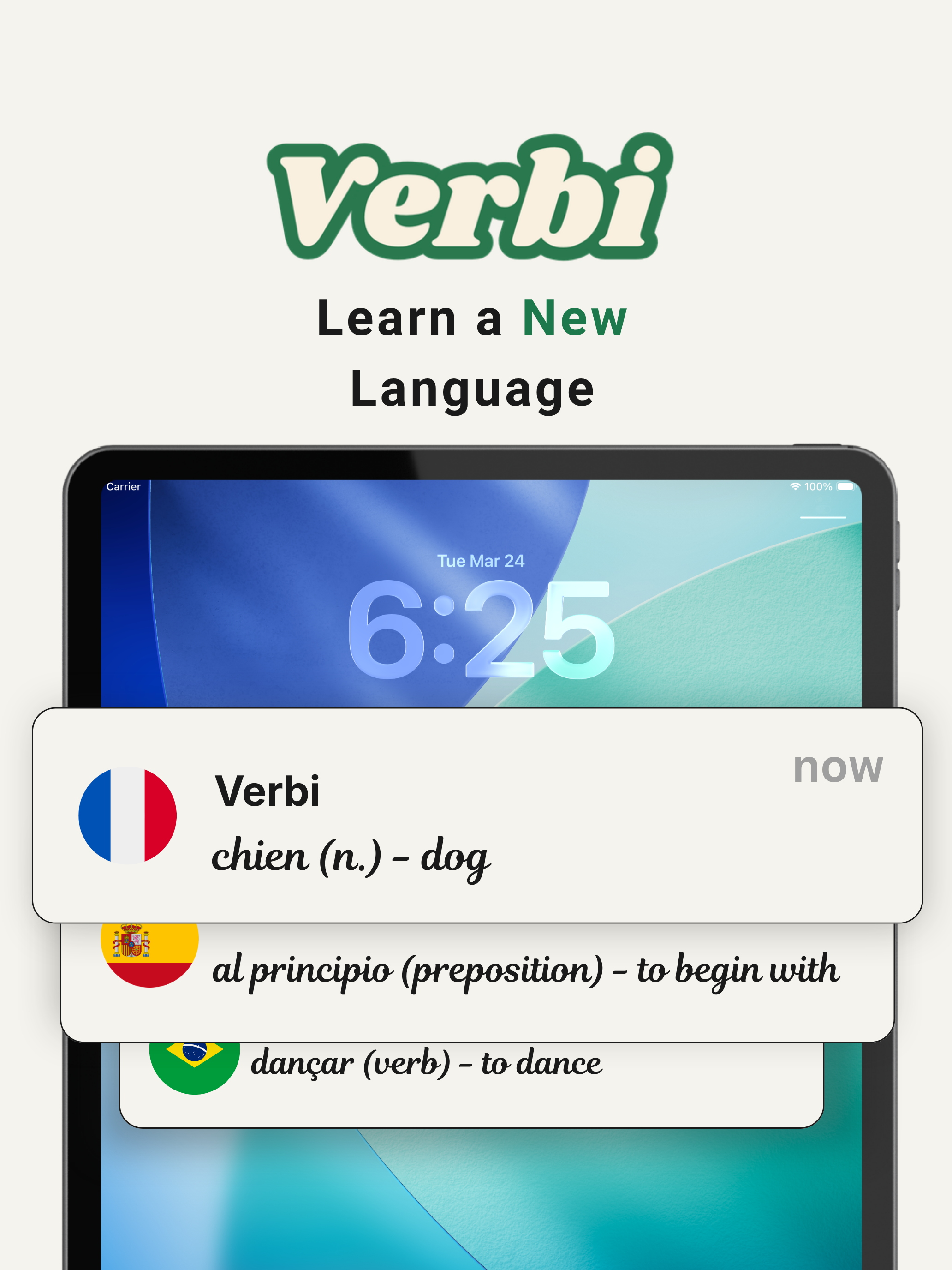 Verbi: Speak a New Language screenshot 9