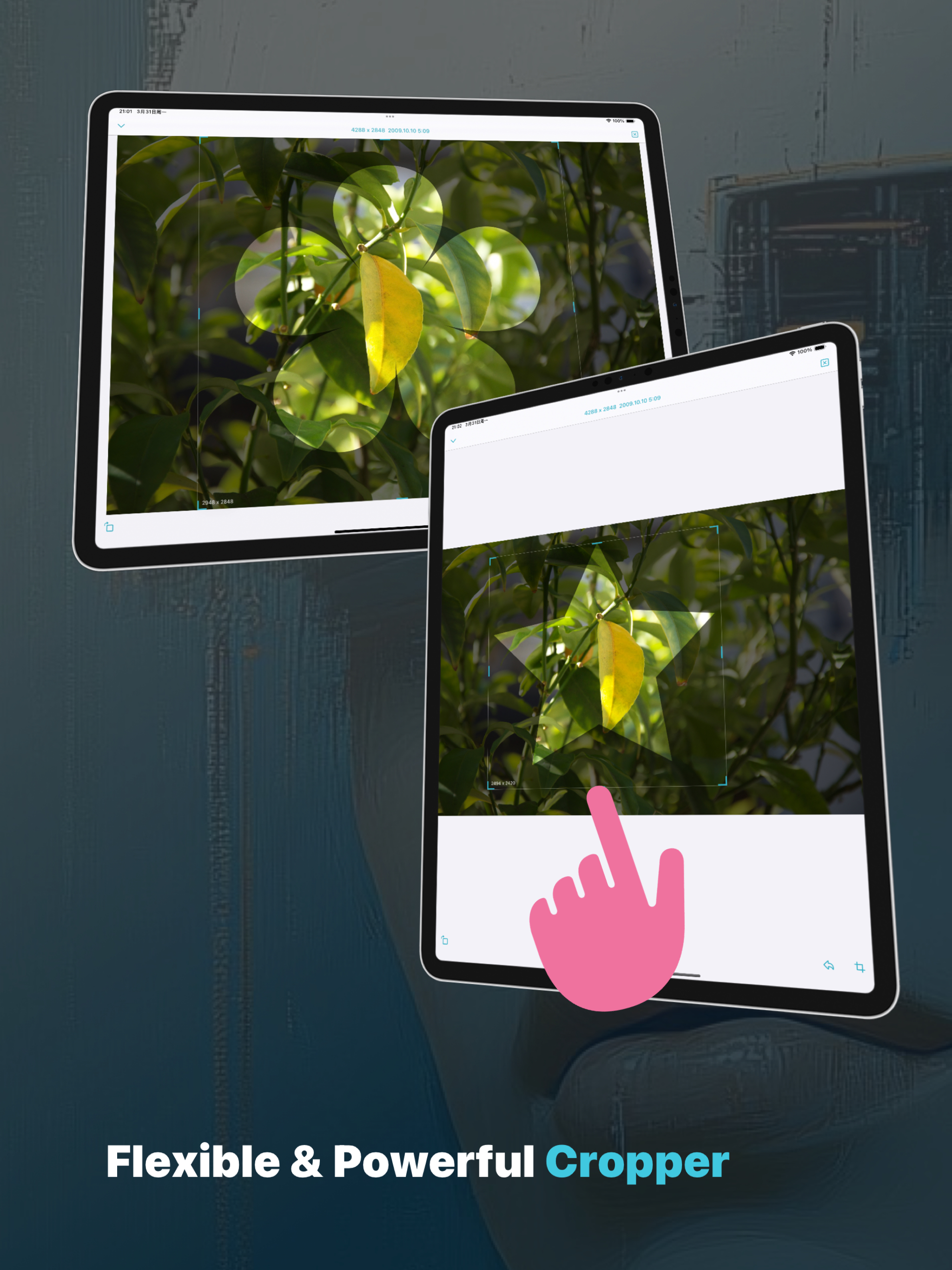 ShapeCropper screenshot 8