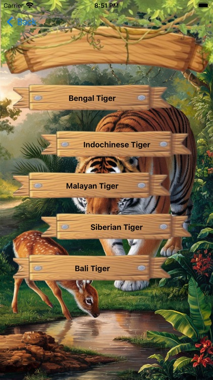 Tiger Folklore