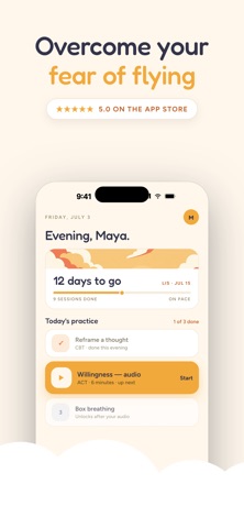 ReadytoFly: Fear of Flying screenshot