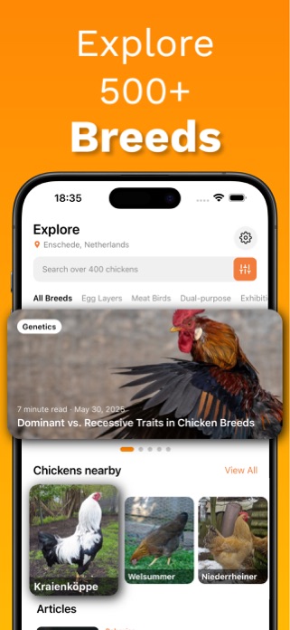 Chicken Identifier – RoostScan Screenshot 2 of 8