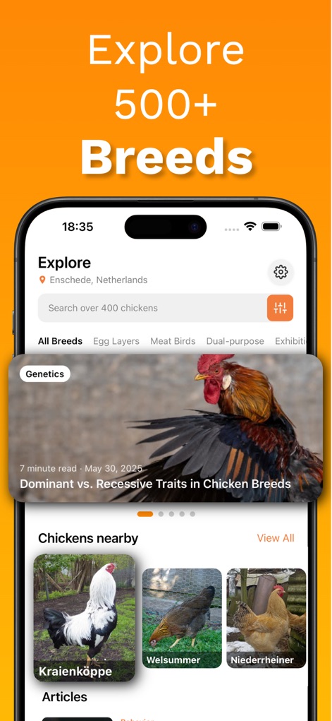 Chicken Identifier – RoostScan - Reference App | MWM