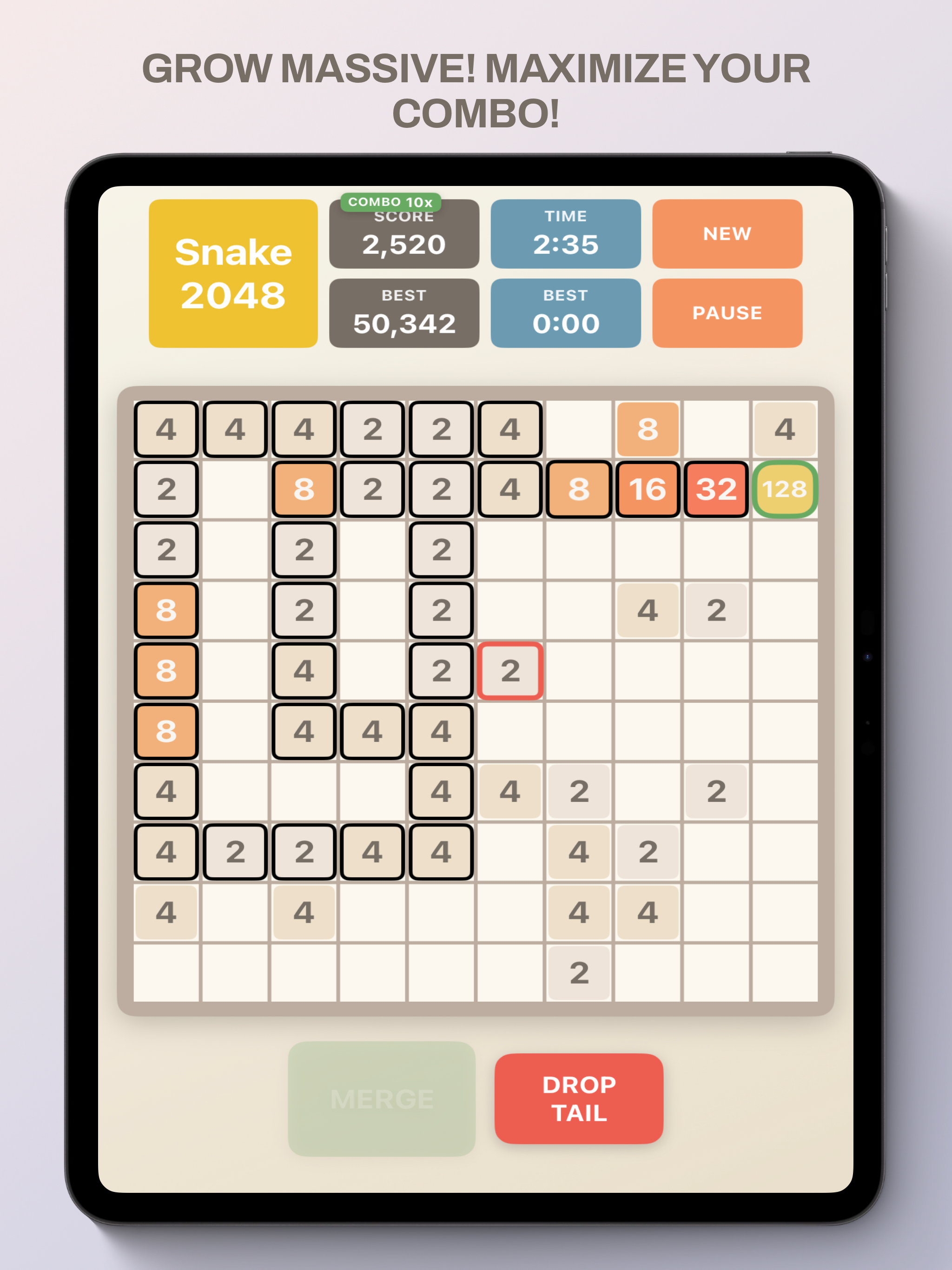 Snake Board 2048 screenshot 8