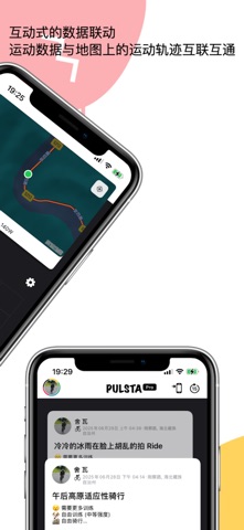 Pulsta screenshot