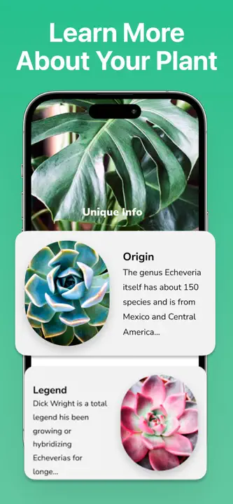 Plant Identifier - PlantMe : capture d’écran 6 sur 6