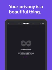 firefox приватный браузер айпад изображения 3