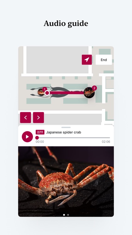 National Museum in your pocket screenshot-5
